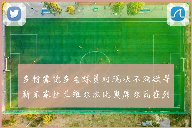 多特蒙德多名球员对现状不满欲寻新东家杜兰维尔法比奥席尔瓦在列