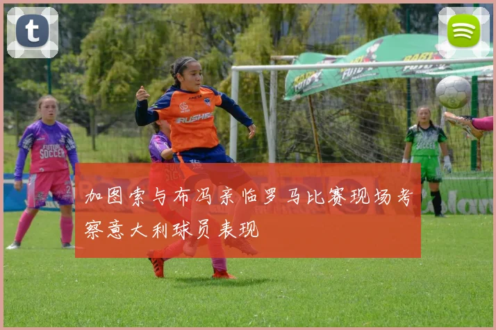 加图索与布冯亲临罗马比赛现场考察意大利球员表现