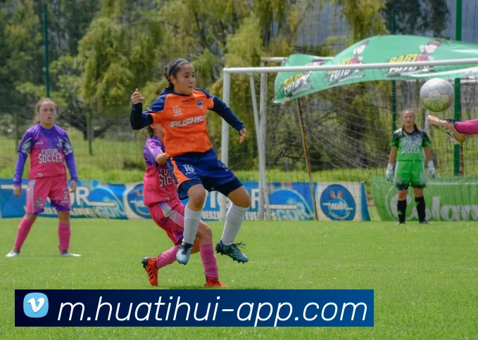 多媒体互动体验